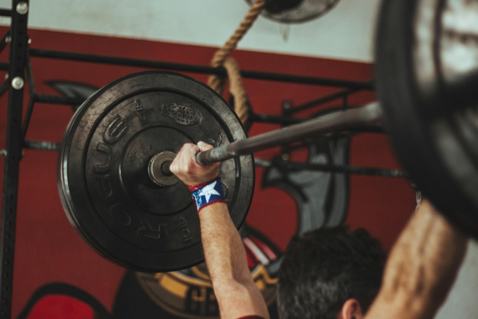 Salamandercore Fitness Club contact